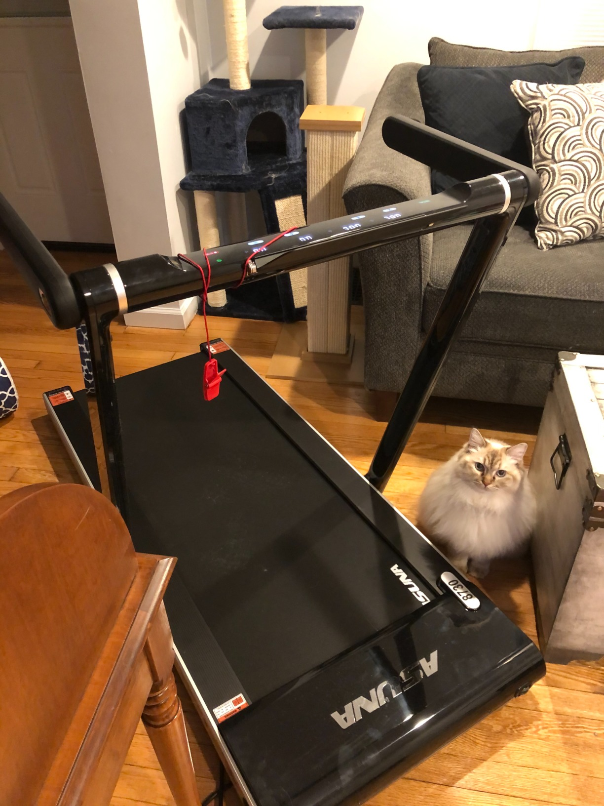 ASUNA Premium Slim Folding Treadmill Running Machine with Speakers for Home Gyms.